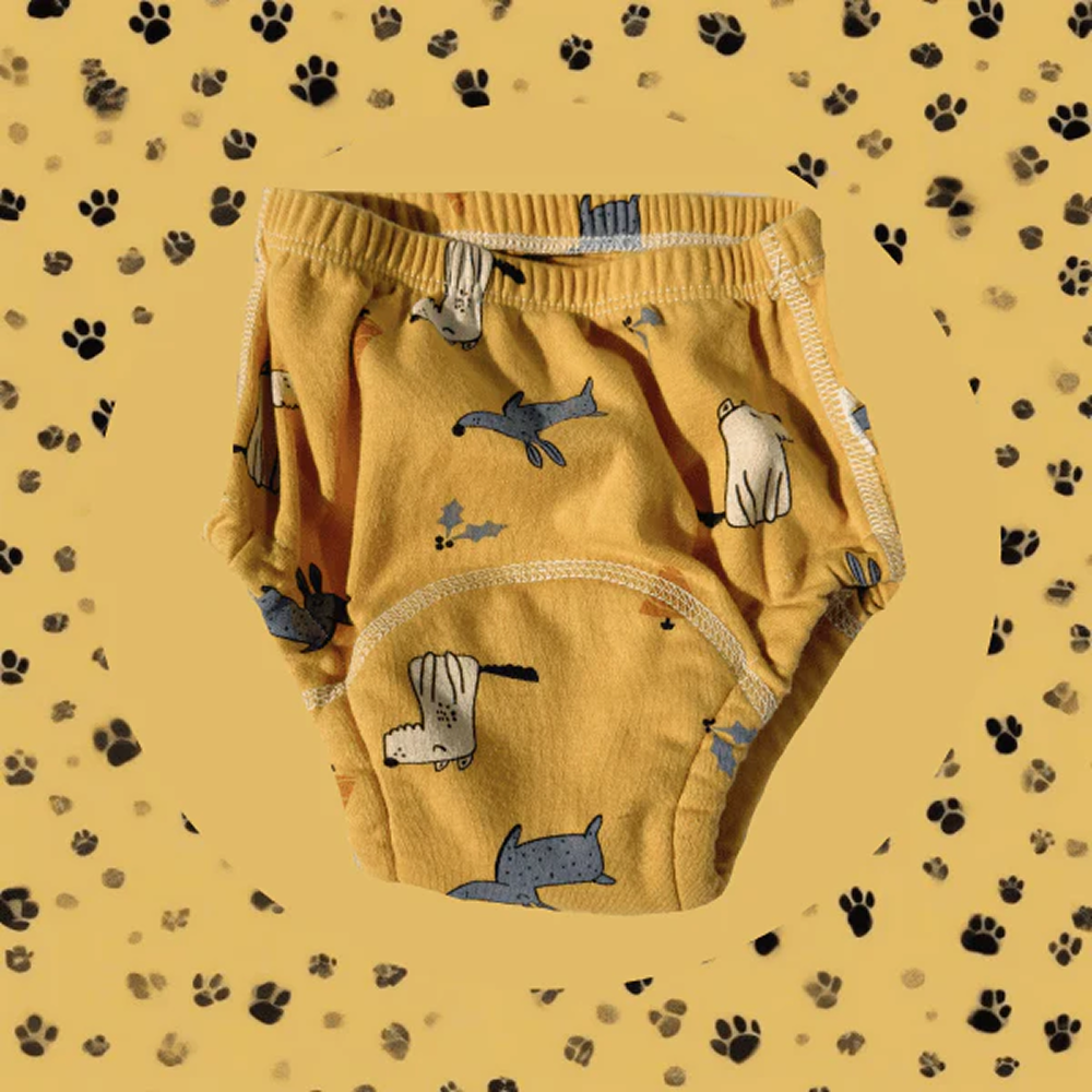 Culotte d'apprentissage Calinoo